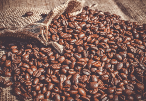 Coffee beans spilling out of a sack.