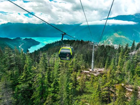 gondola over a scenic view of trees and river