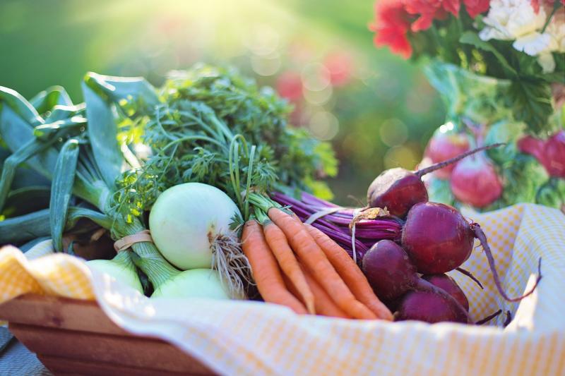 Carrots, onions, and radishes in a basket. 